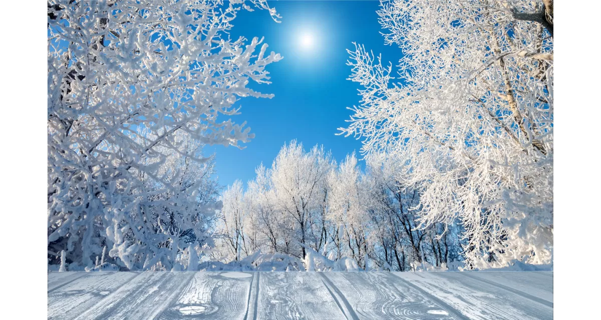 Zima: Odkrywanie Ukrytej Palety Kolorów w Białym Krajobrazie