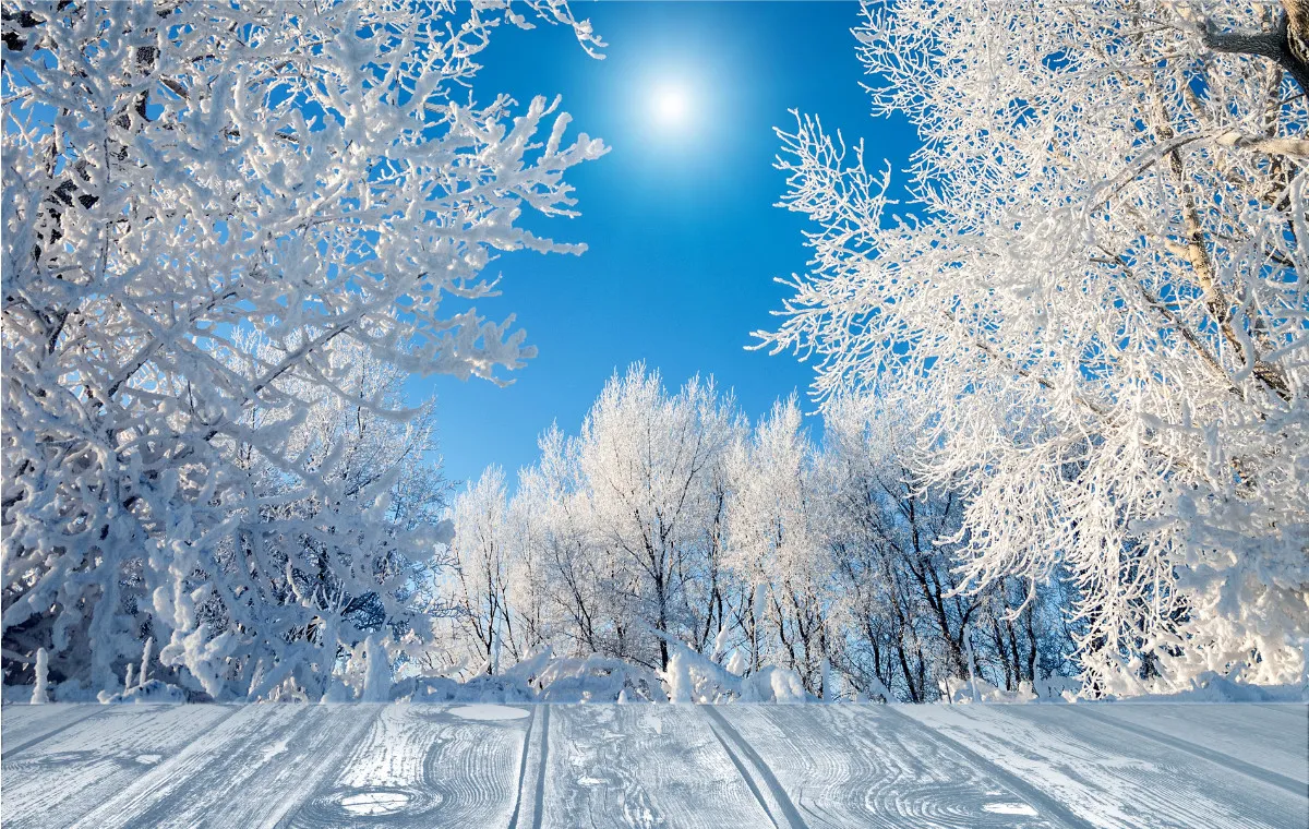 Magia zimy: Odkryj zaskakującą paletę kolorów w białym świecie